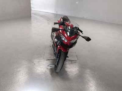 Kawasaki Ninja 250 2022