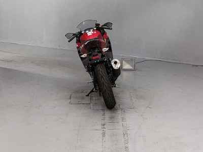 Kawasaki Ninja 250 2022