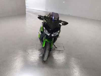Kawasaki Ninja 1000 2011