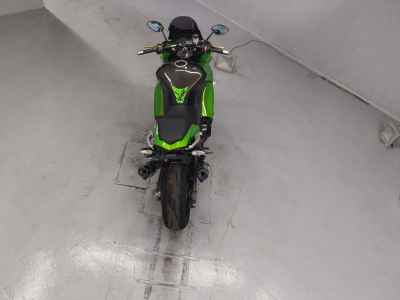Kawasaki Ninja 1000 2011