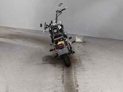 Yamaha XVS250 Drag Star