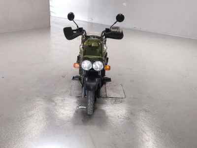 Honda PS250 Big Ruckus 2006
