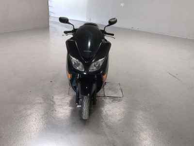 Honda Forza Z 2006