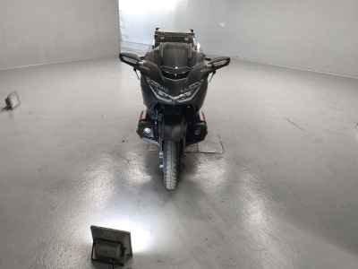 Honda GL1800 Gold Wing Tour DCT 2021