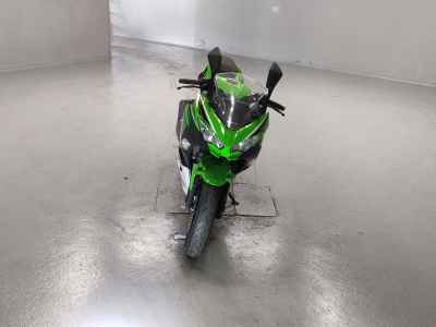 Kawasaki Ninja 250 2021