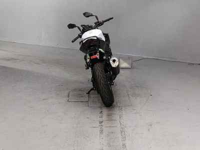 Kawasaki Z250 2019