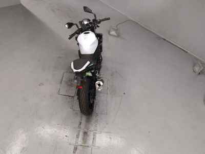 Kawasaki Z250 2019