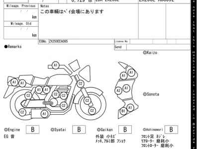 Kawasaki Ninja ZX-25R SE