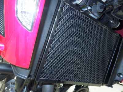 Benelli TRK251 2021