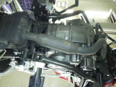 Benelli TRK251 2021