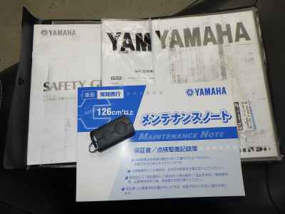 Yamaha XMAX 250