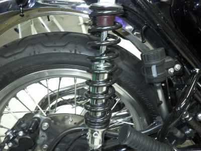 Kawasaki W800 2024