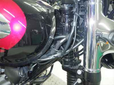Kawasaki W800 2024