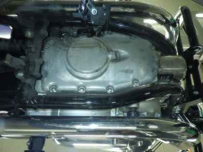 Kawasaki W800 2024