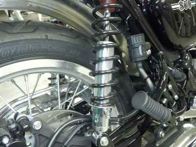 Kawasaki W800 2025