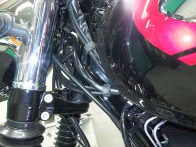 Kawasaki W800 2025