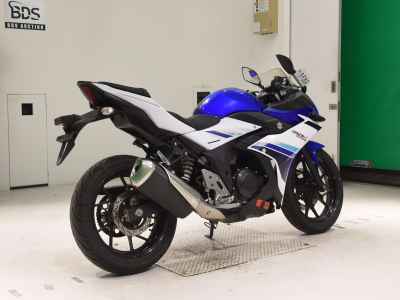 Suzuki GSX250R