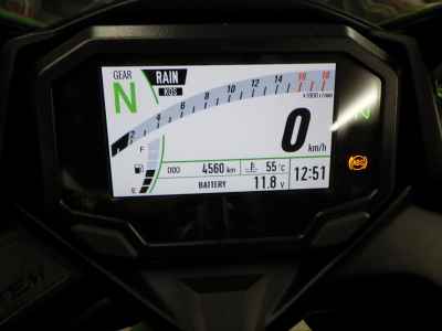 Kawasaki Ninja ZX-4RR 2024