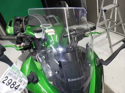 Kawasaki Ninja 1000 2019