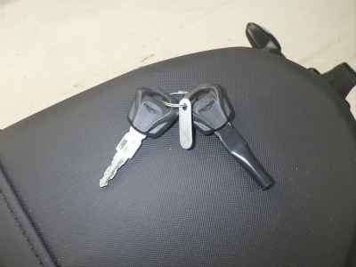 Triumph Daytona 660 2024