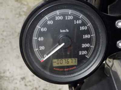 Harley-Davidson Sportster Forty-Eight XL1200X 2013