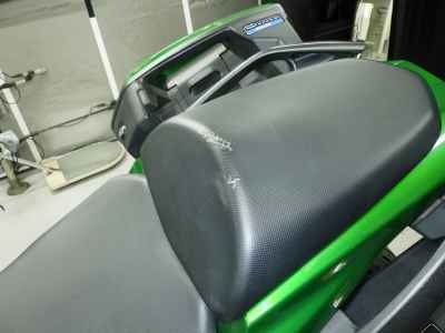 Kawasaki Ninja 1000 2018