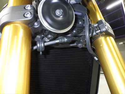 Kawasaki Z900RS SE 2025