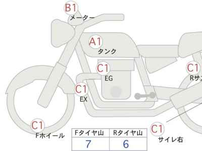 Kawasaki W800 2021