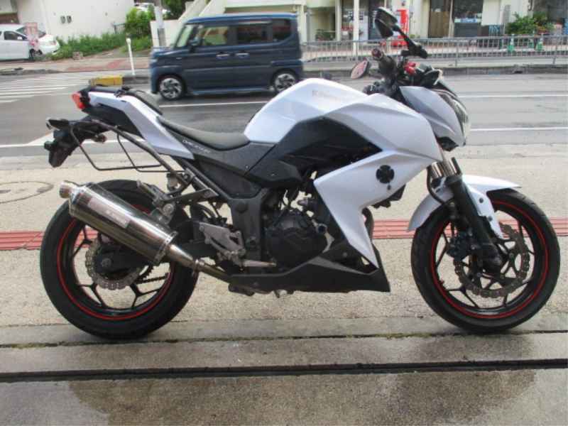 Kawasaki Z250 2013