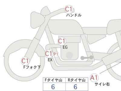 Kawasaki W800 2021