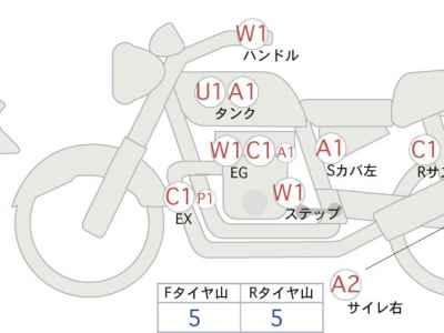 Kawasaki W800 2021