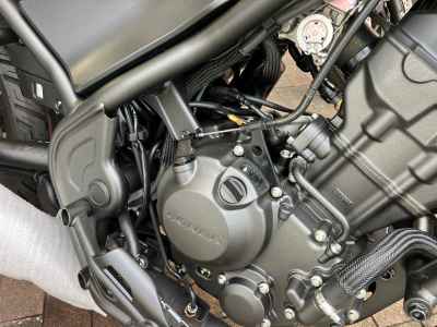 Honda Rebel CMX250 2025