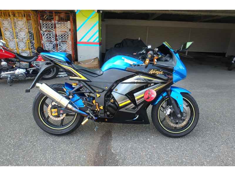 Kawasaki Ninja 250R 2010