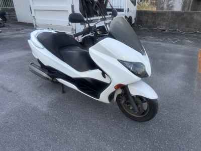 Honda Forza Z 2010