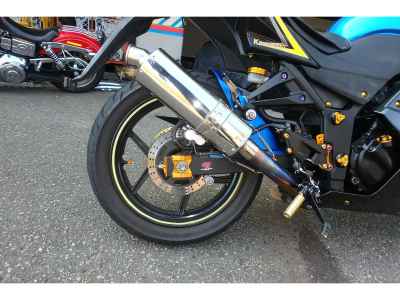 Kawasaki Ninja 250R 2010