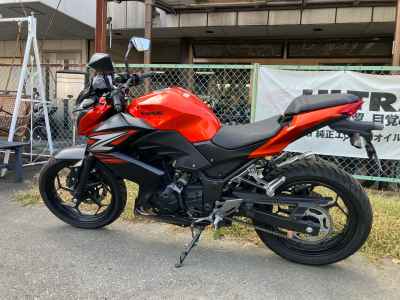 Kawasaki Z250 2014
