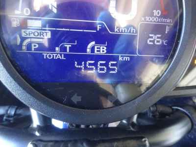 Honda Hawk 11 2024