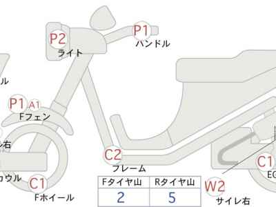 Suzuki Gemma 250