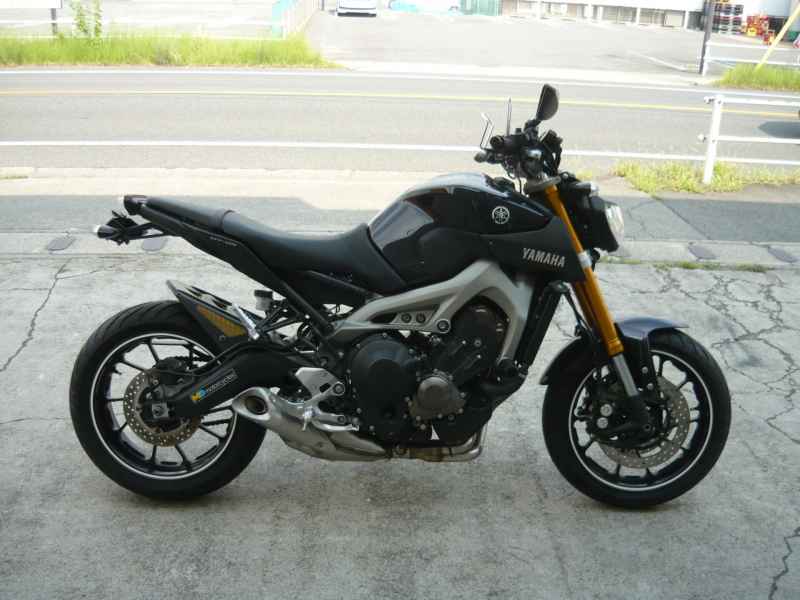 Kawasaki Ninja H2 SX 2021