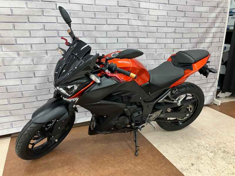 Kawasaki Z250 2014