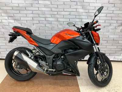 Kawasaki Z250 2014