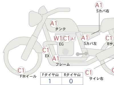 Kawasaki W800 2022