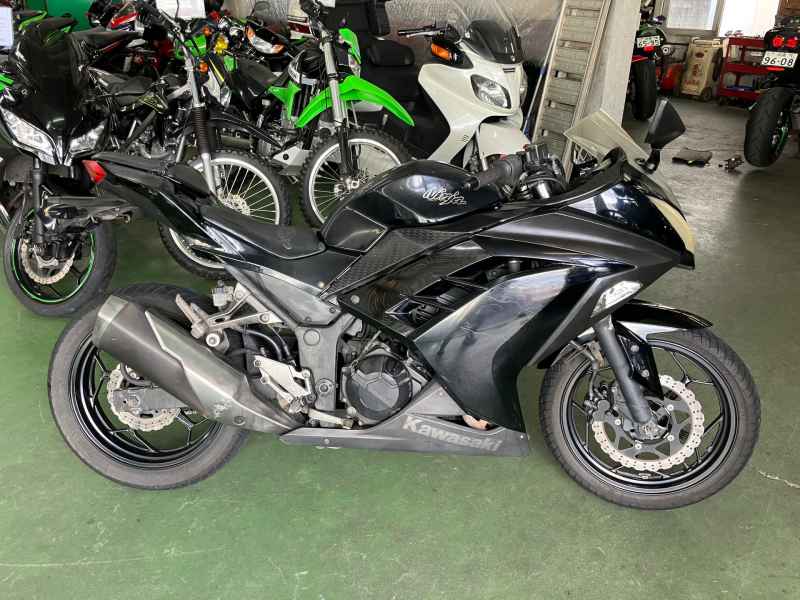 Kawasaki Ninja 250