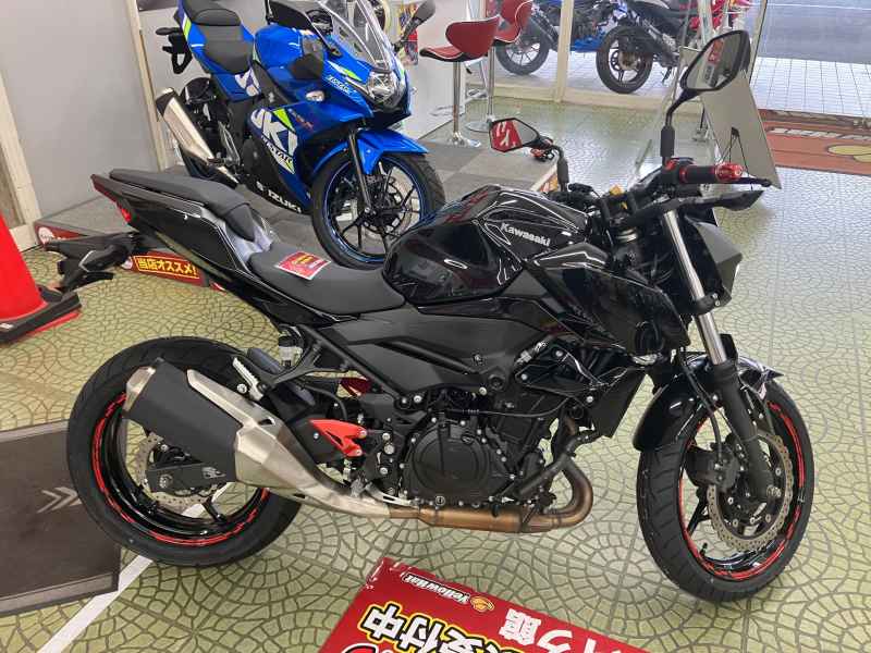 Kawasaki Z250 2022