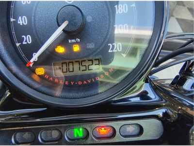 Harley-Davidson Sportster Forty-Eight XL1200X 2019