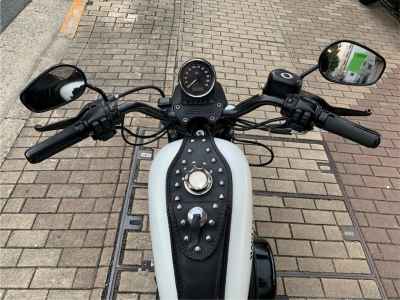 Harley-Davidson Sportster Iron XL883N 2018