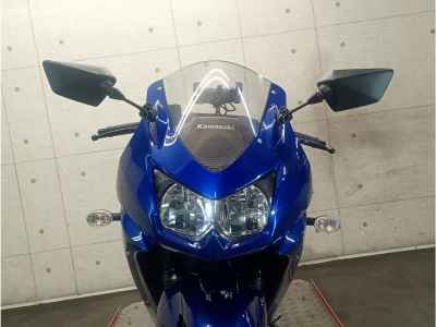 Kawasaki Ninja 250R