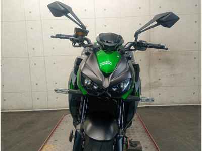 Kawasaki Z1000 2019