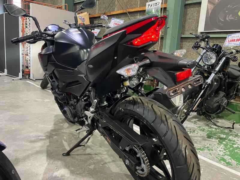 Kawasaki Z250 2019