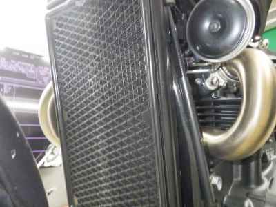 Triumph Street Scrambler 2025